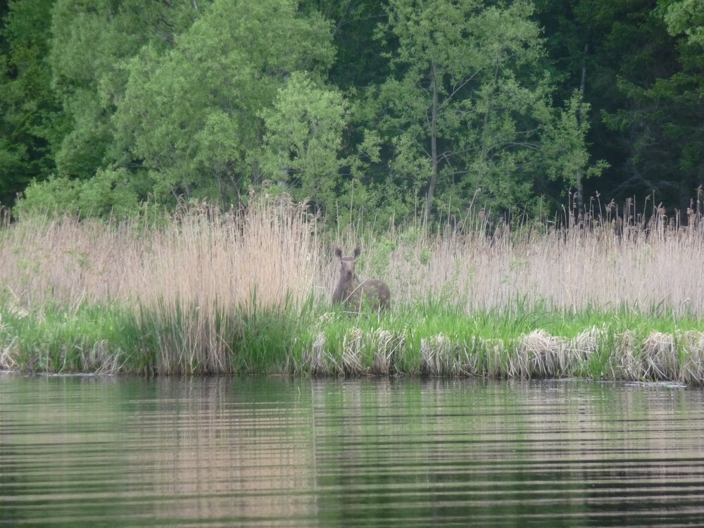 Вело- и пешие прогулки 